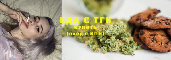прущие грибы Балахна