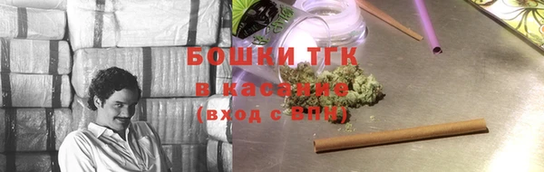 прущие грибы Балахна