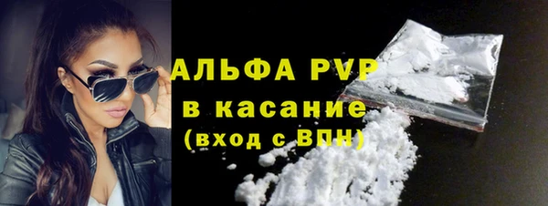 прущие грибы Балахна