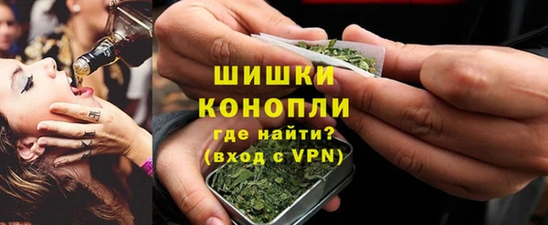 прущие грибы Балахна