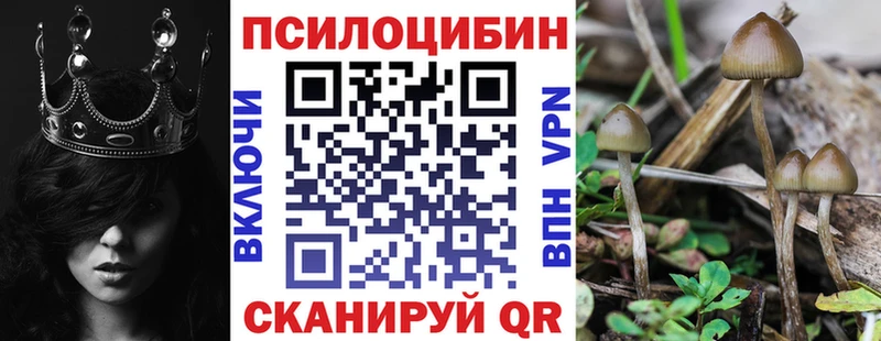 где продают наркотики  Лабинск  Галлюциногенные грибы Magic Shrooms 